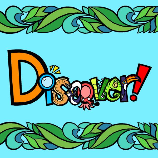 Discover! 展